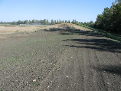 Birds Point Levee