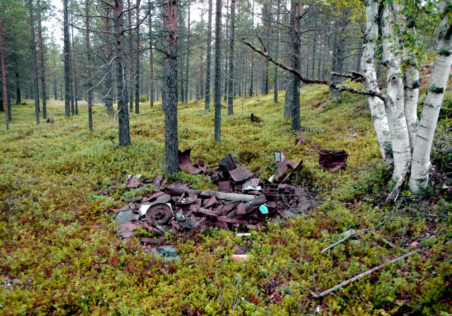 German Remains