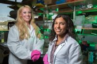 Feed a Cold, Starve a Fever? Not so Fast, According to Salk Research