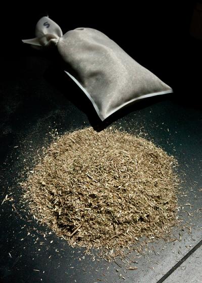 Switchgrass in the Bag