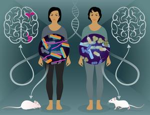 Illustration of a pair of twins