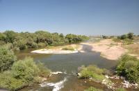 Koca Stream 2