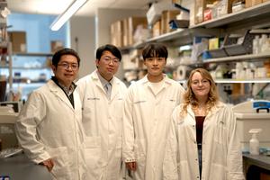 researchers