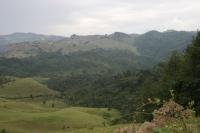 Gishwati:  Rwanda's Forest of Hope