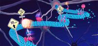 Deformation of microtubules and their biological functions