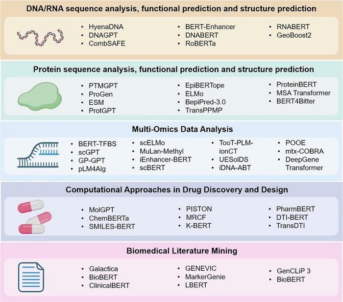 Applications of Large Language Models in Bioinformatics