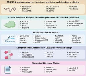 Applications of Large Language Models in Bioinformatics