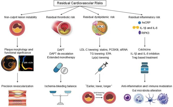 In post-ACS patients, vulnerable non-culprit lesions, increased thrombotic state, residual dyslipidemia (especially high LDL-C), and inflammation have been identified as risk factors for future ischemic events.