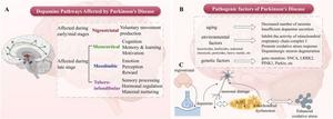 Affected brain regions and pathogenic factors of PD.
