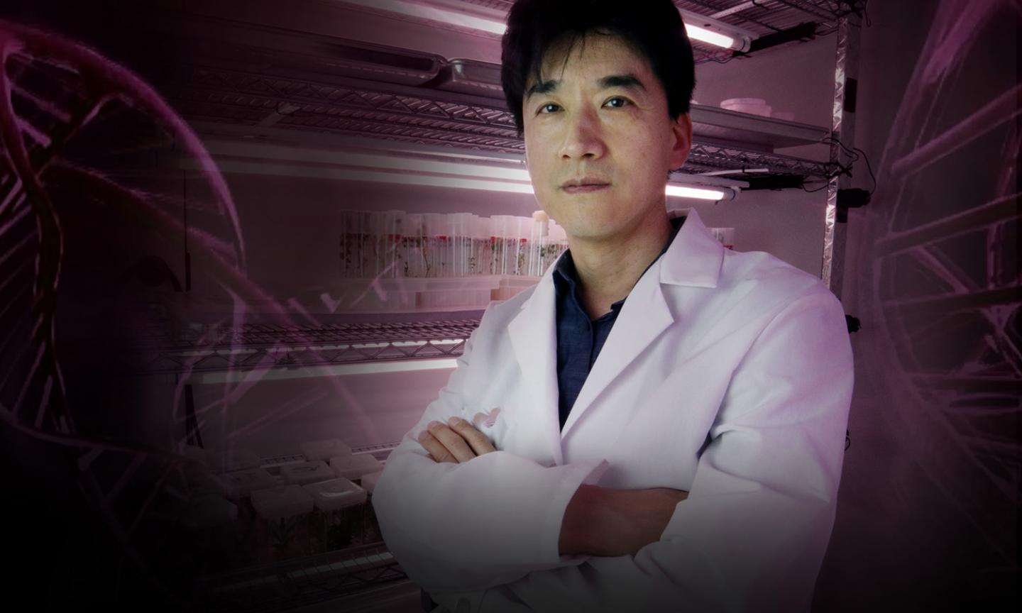 Dr. Junqi Song Illustration