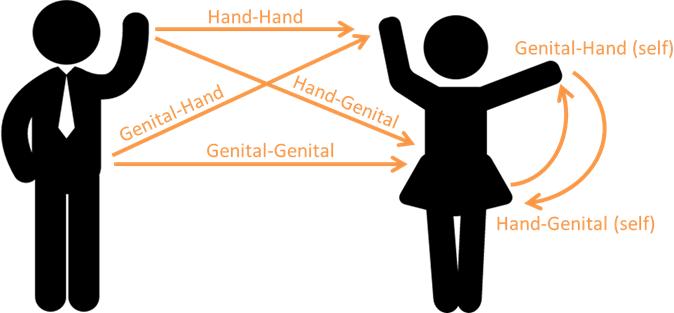New Study Shows HPV not Likely Transmittable through the Hand