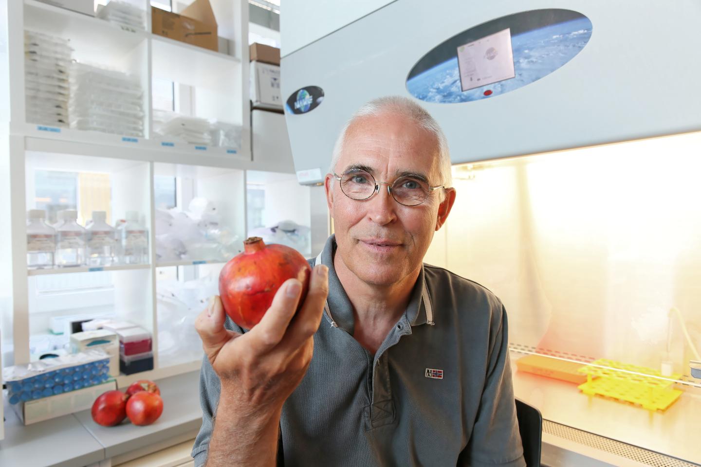 Johan Auwerx, Ecole Polytechnique Fédérale de Lausanne