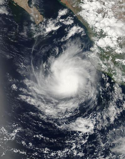 MODIS Sees Dalila