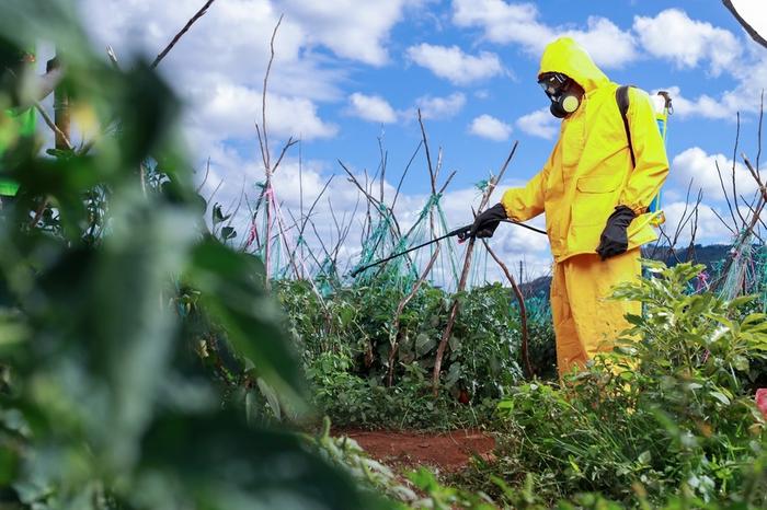 Farmer spraying crops