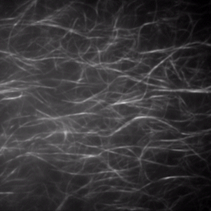 Molecular motion