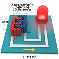 Braun Holographic Schematic