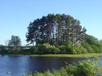 The Ri??ukalns Site