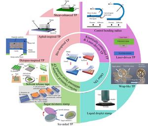 Figure | The summary of different TP techniques discussed in this review.