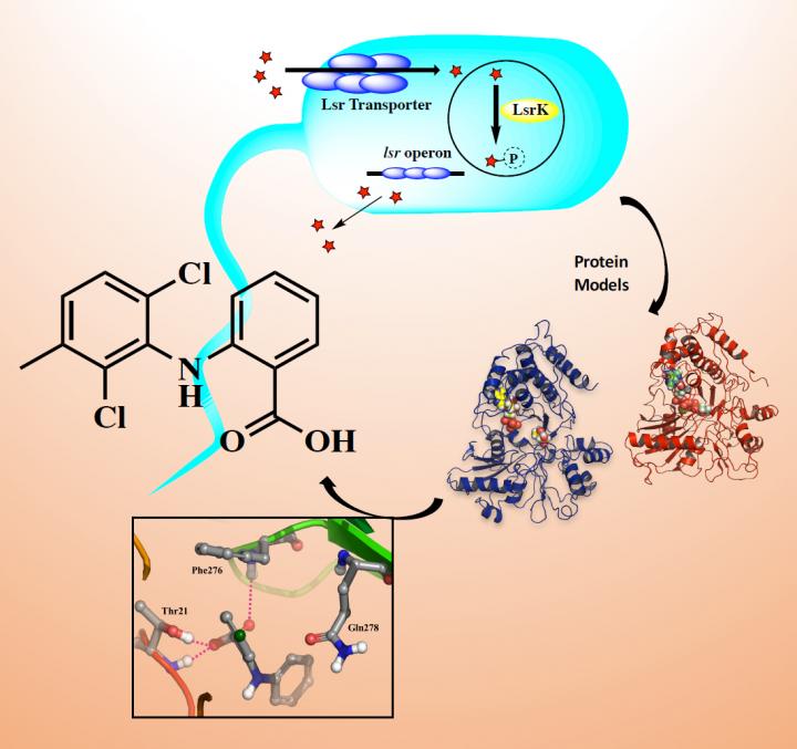 Novel Antibacterial Drugs Developed at University of Eastern Finland