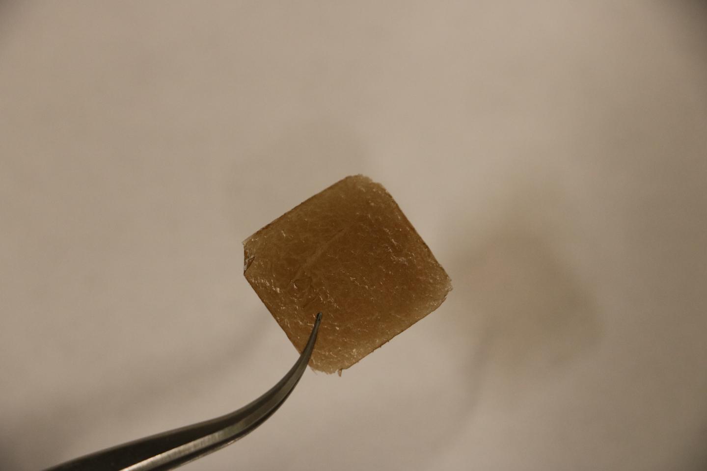 Graphene Oxide Films