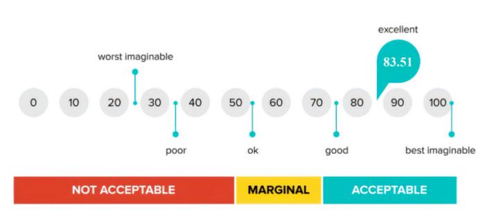 System Usability Scale mean scores.