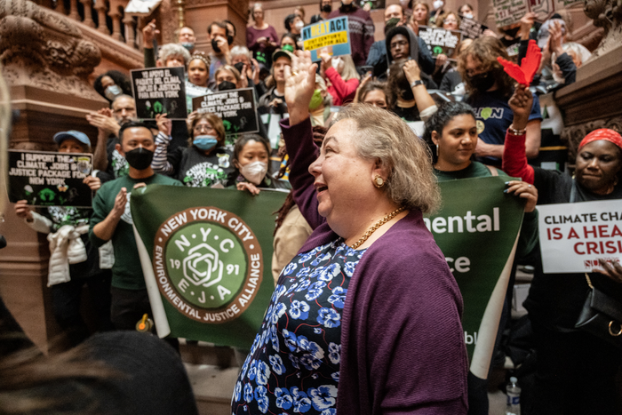 New York Environmental Justice Alliance Rally
