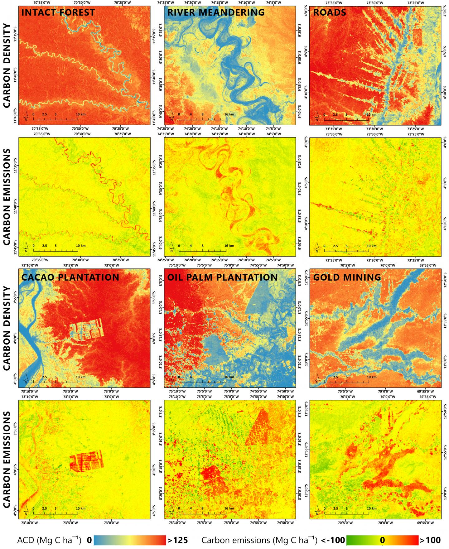 Examples of Changes Over Time in Aboveground Carbon Density Estimates between 2012 and 2017