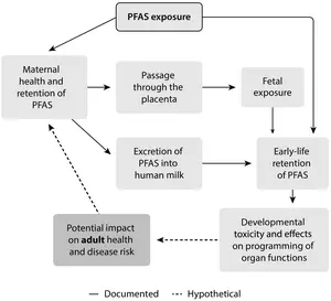 PFAS exposure