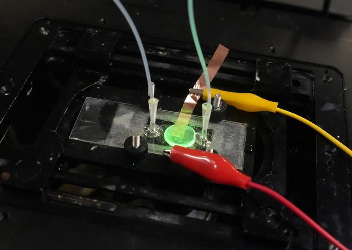 NUS CDE researchers map individual reactions to guide better catalyst design