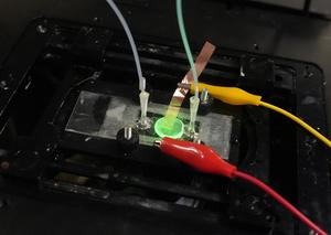 NUS CDE researchers map individual reactions to guide better catalyst design