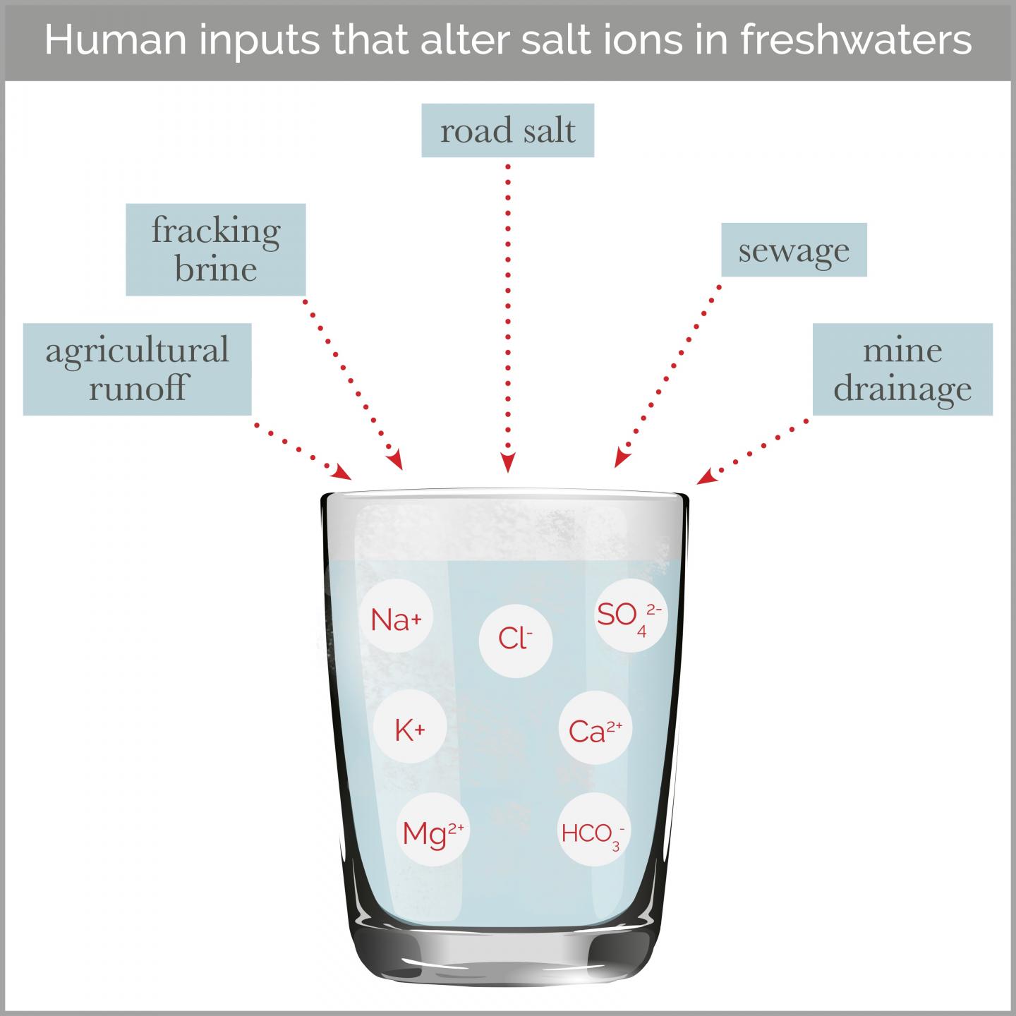 Human Inputs