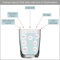 Human Inputs