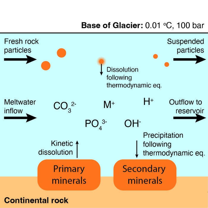 Schematic diagram of subglacial chemical reactions modelled in this study