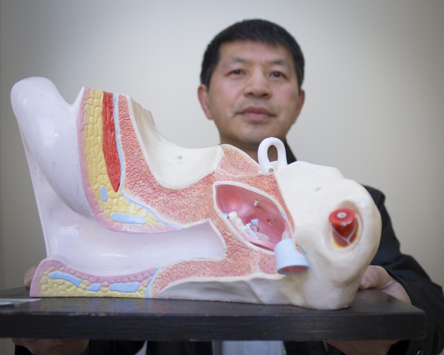 High-Frequency Hearing Test
