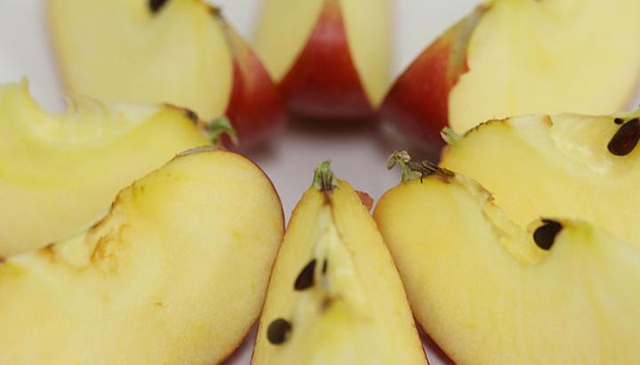 Apples