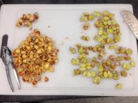 Ginkgo Seeds