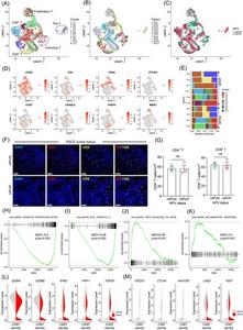 CD8+ T cells display a lower expression of ICB checkpoints in HPV+ PSCC.