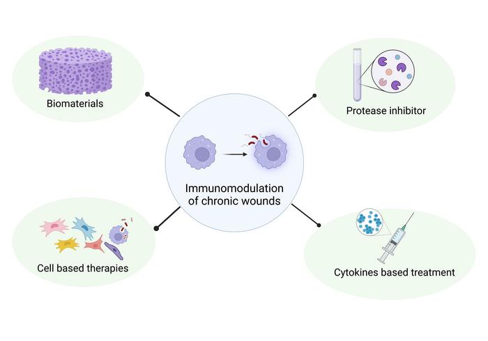 Healing Chronic Wounds by Modulating the Immune System