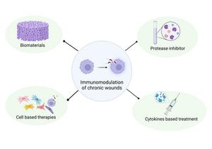 Healing Chronic Wounds by Modulating the Immune System