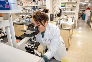 Dr. Tamar Gefen