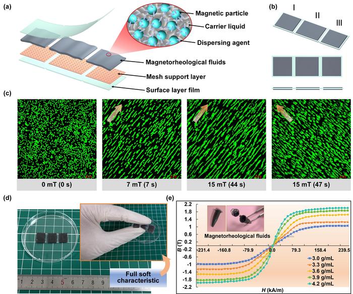 Soft sheet robot detailed design and magnetization characteristics of magnetorheological fluids.