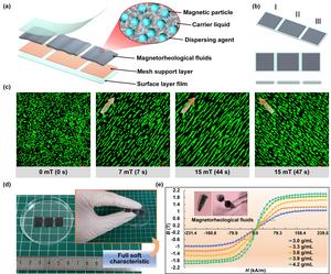 Soft sheet robot detailed design and magnetization characteristics of magnetorheological fluids.