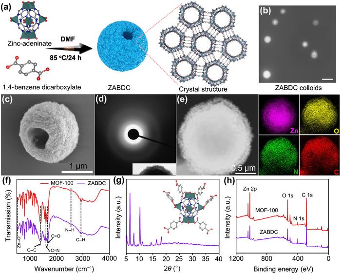 MOF based micromotors for uranium extractions.