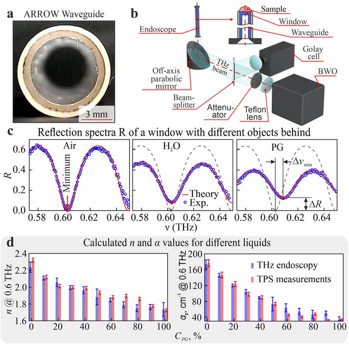 Figure | Pilot endoscopic measurements of the THz optical constants.
