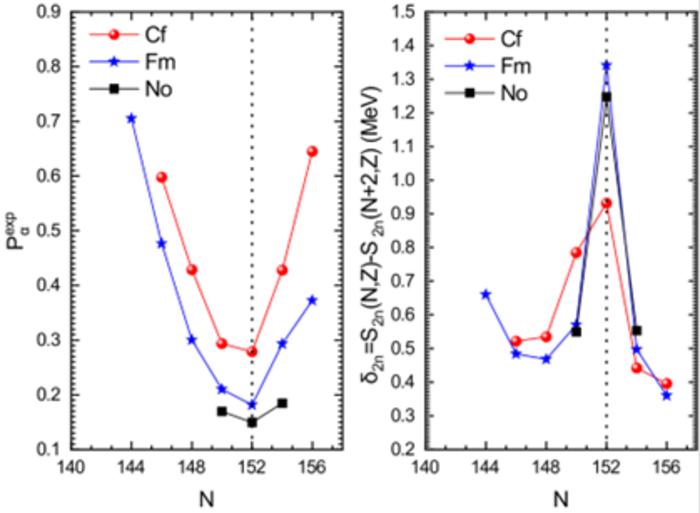 Same as Fig. 2,but depicting the variations of the extracted α-particle preformation factors (left) and two-neutron separation energy gap (right) against the neutron number for Cf, Fm and No isotopes.