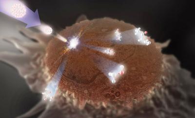 'A Little Off the Top' Helps NIST Map Cells with Submicrometer Resolution