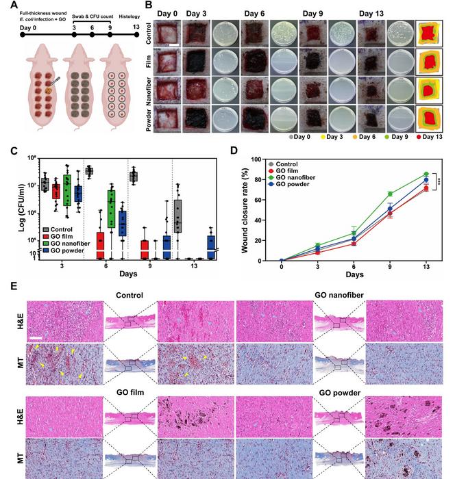 KAIST Researchers Unveil Technical Principles Behind Antibacterial Graphene Toothbrushes with 10 Million Units Sold​