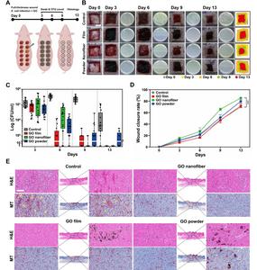 KAIST Researchers Unveil Technical Principles Behind Antibacterial Graphene Toothbrushes with 10 Million Units Sold​