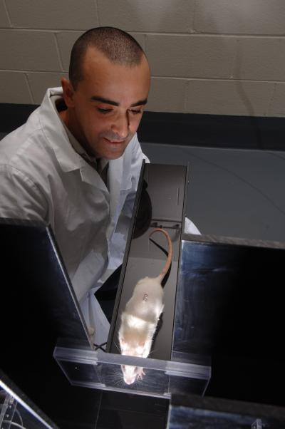 Mohammed Kabbaj, Florida State University