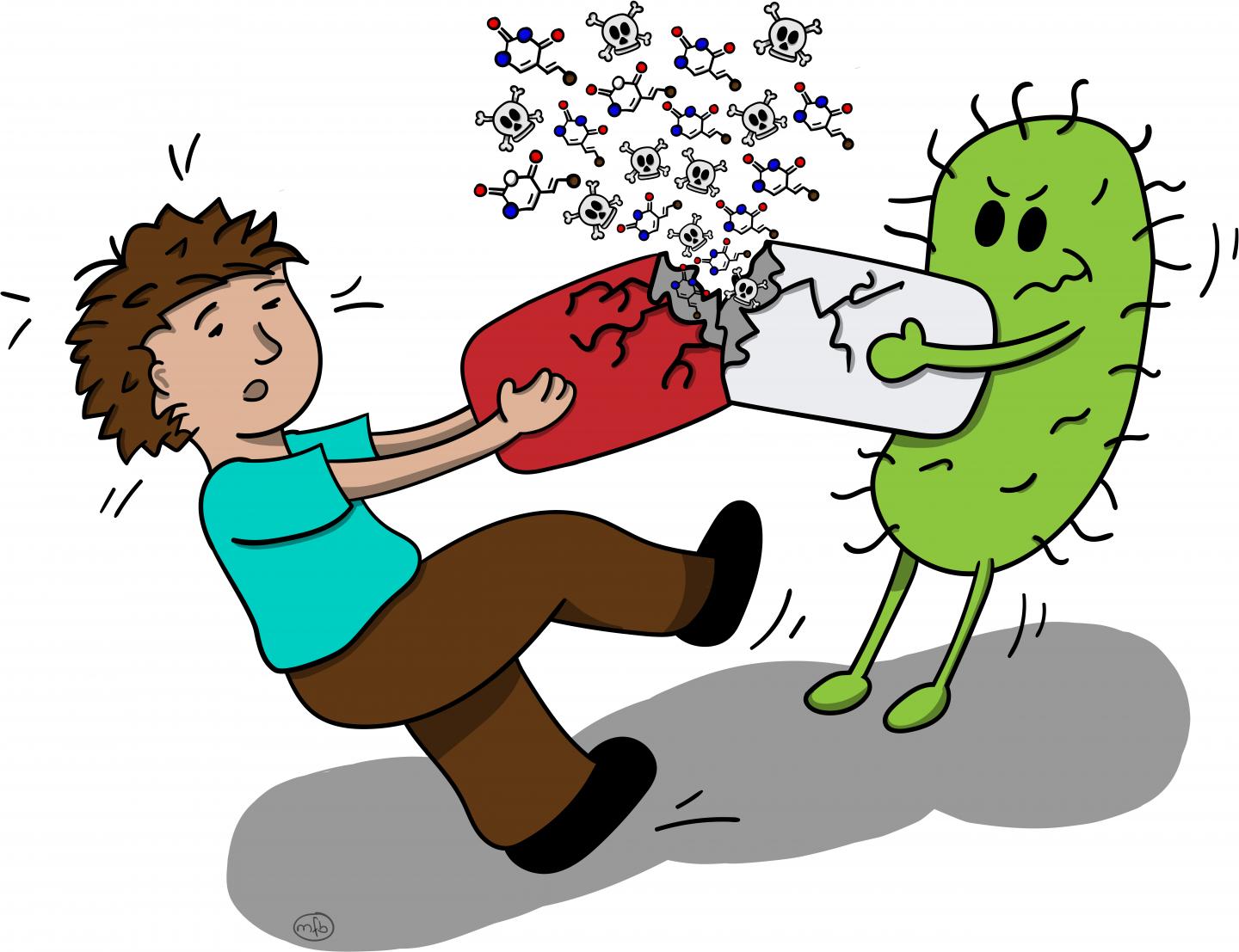 Untangling the Impacts of Gut Bacteria on Drug Metabolism (1 of 2)